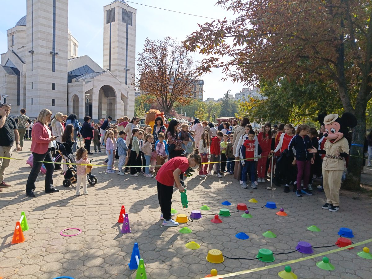 Галерија вести 8